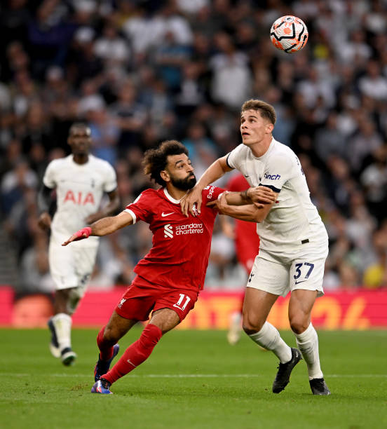 近年来在科 近年来在科